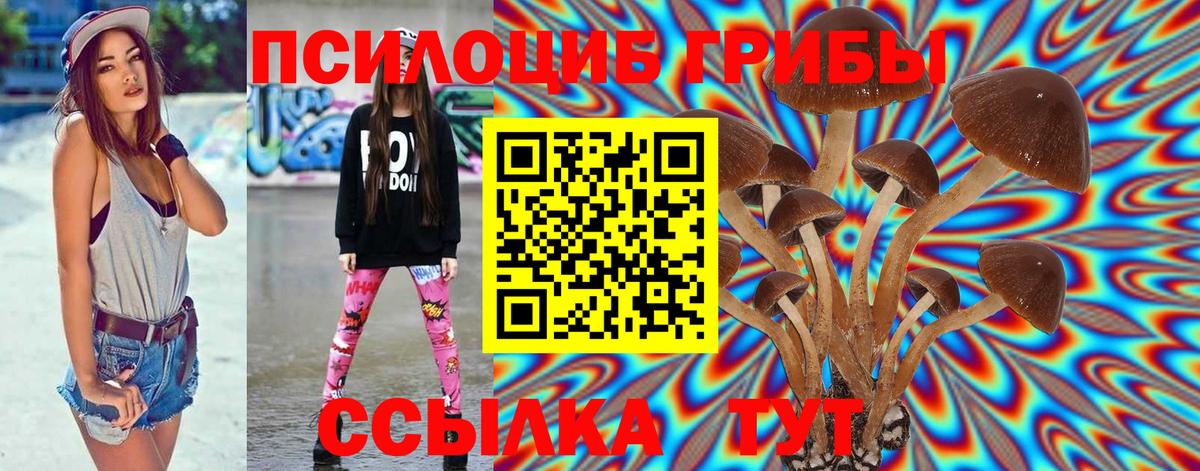 Псилоцибиновые грибы Magic Shrooms  Вход с VPN  наркошоп  Бийск 