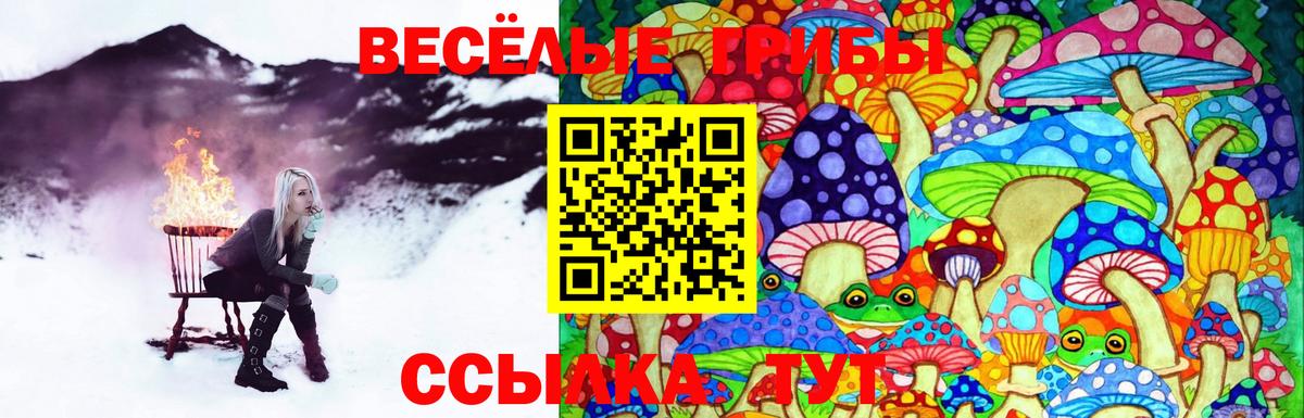 Галлюциногенные грибы мицелий Бийск